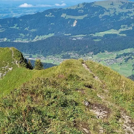 Haus Alpina 게스트하우스