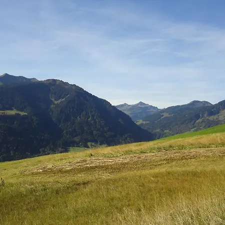 Haus Alpina Pensión 3*